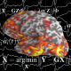 Lire la suite à propos de l’article Alexandre Gramfort algorithmise les signaux de nos cerveaux